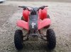 pic five of the four wheeler.jpg